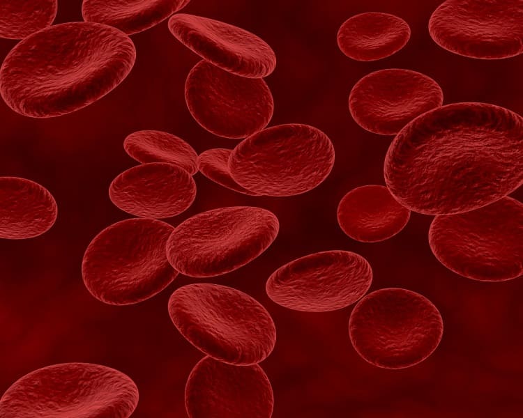 Nizek hemoglobin: vzroki in zdravljenje